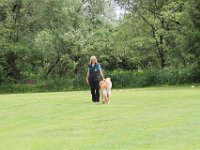 Bendix und das Boxband (70)